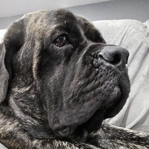 Meet your Posher, Amie